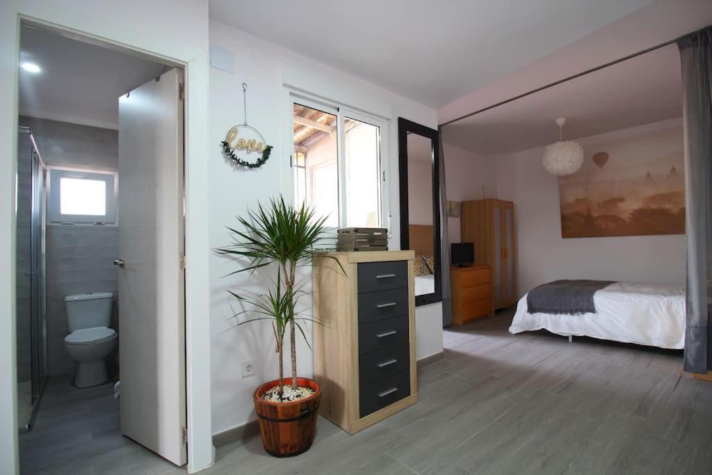 Suite Puerta Osario Con Terraza Sevilla Exteriör bild